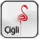 Download Çiğli Belediyesi