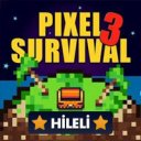 Budata Pixel Survival Game 3 Free