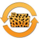 Download Cheetah Sync