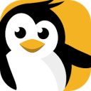 डाउनलोड Dataplicity - Terminal for Pi