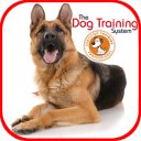 አውርድ Dog Training