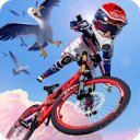 Download Downhill Masters