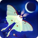 Stiahnuť Flutter: Starlight
