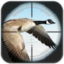 Downloaden Flying Bird Hunting