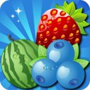 Download Fruit Star Free