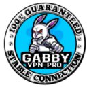 Download Gabby VPN