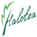 Download Halotea Free