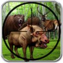 Download Jungle Sniper Hunting 3D