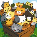 Download Kitty Cute Cats