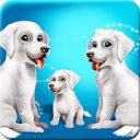 डाउनलोड करें Labrador Puppies Family