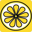 Download Lemon Group Messenger