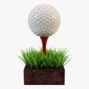 Download Mini Golf Club