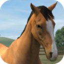 Download My Horse