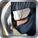 डाउनलोड करें Ninja Revenge