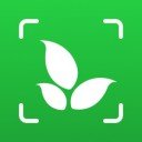 אראפקאפיע Plantiary - Plant Recognition