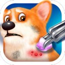 Download Puppy House Clinic Vet Doctor