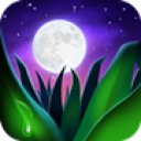 Download Relax Melodies P: Sleep & Yoga