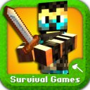 Pobierz Survival Games