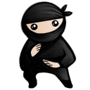 Degso System Ninja