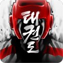 डाउनलोड Taekwondo Game