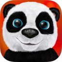 Download Teddy the Panda