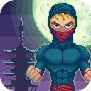 Download The Best Ninja