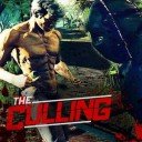 Download The Culling