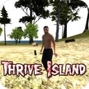 Боргирӣ Thrive Island