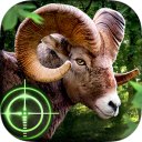 Khuphela Wild Hunter 3D