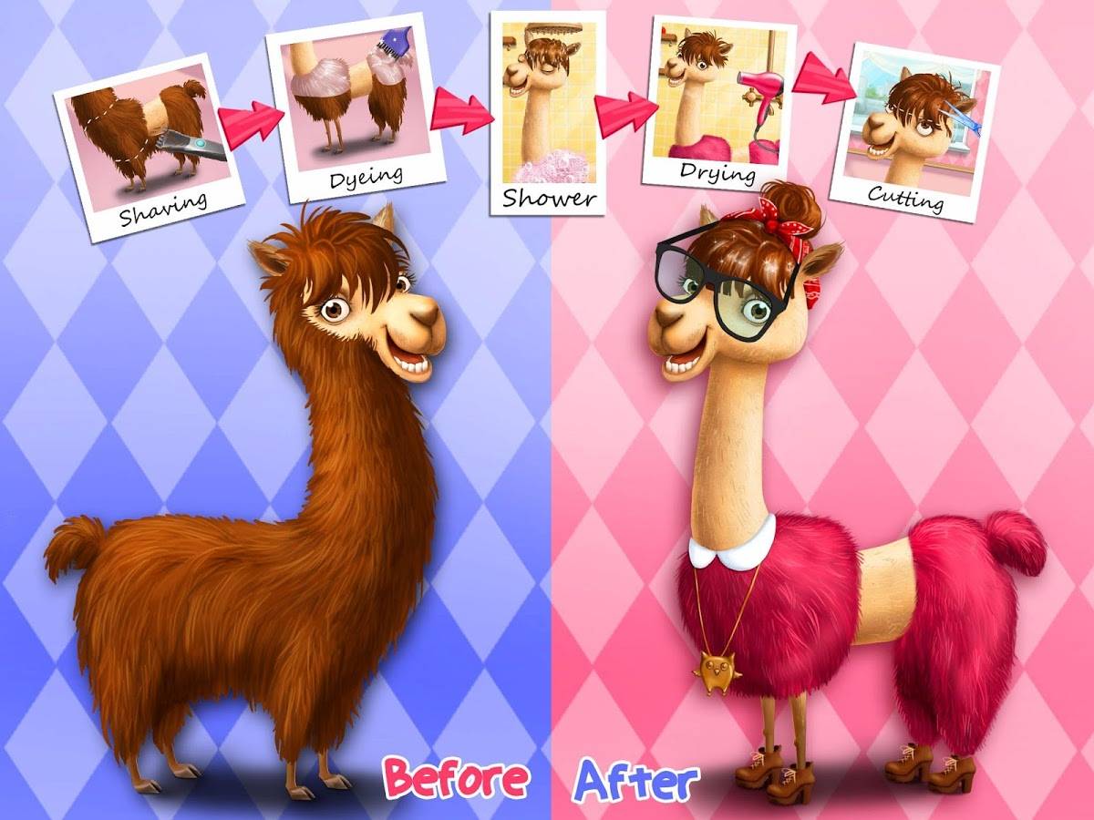 Degso Animal Hair Salon