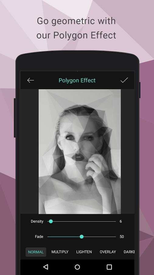 Download Polygon Effect