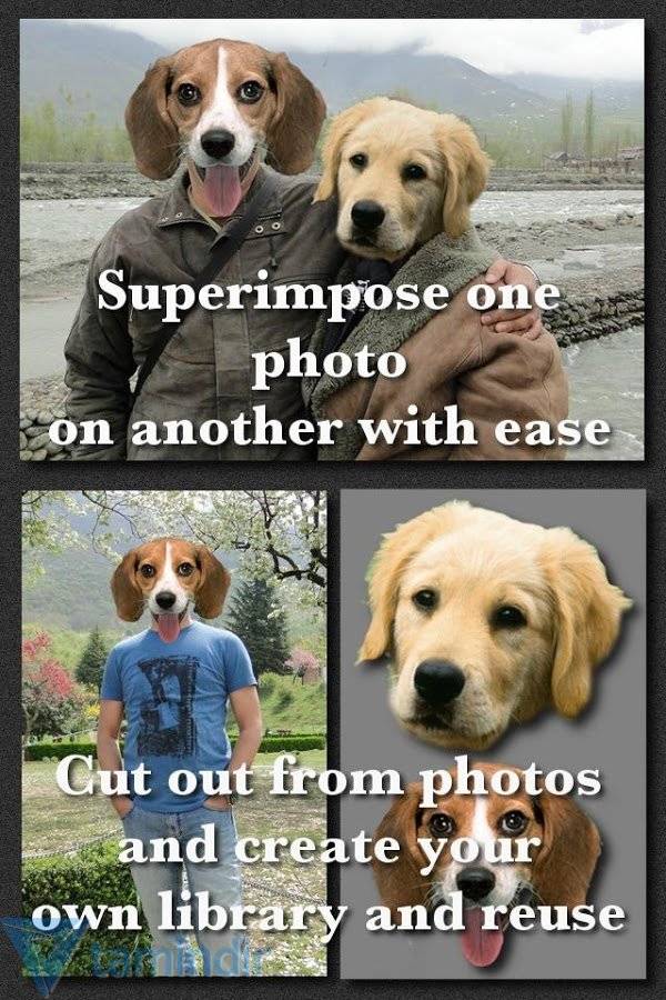 Download Superimpose