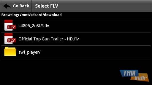 Download FLV Video Player