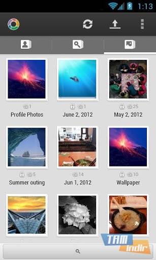 Download Perfect Tool for Picasa
