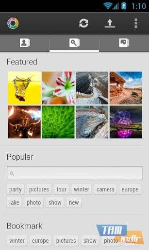 Download Perfect Tool for Picasa