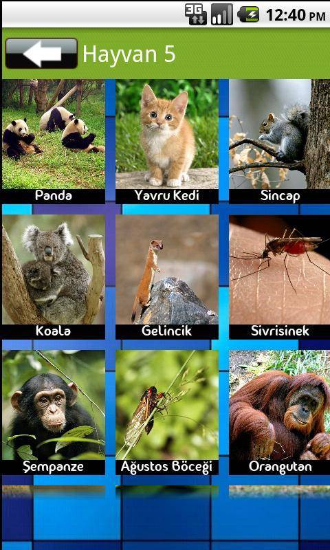 Download Animal Sounds