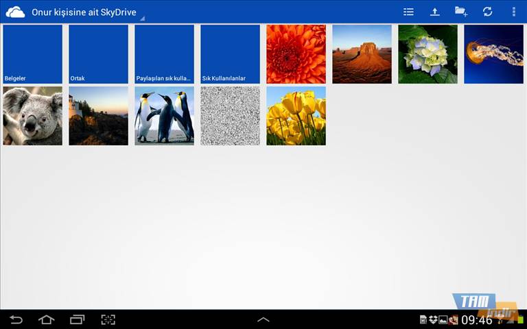 Download SkyDrive