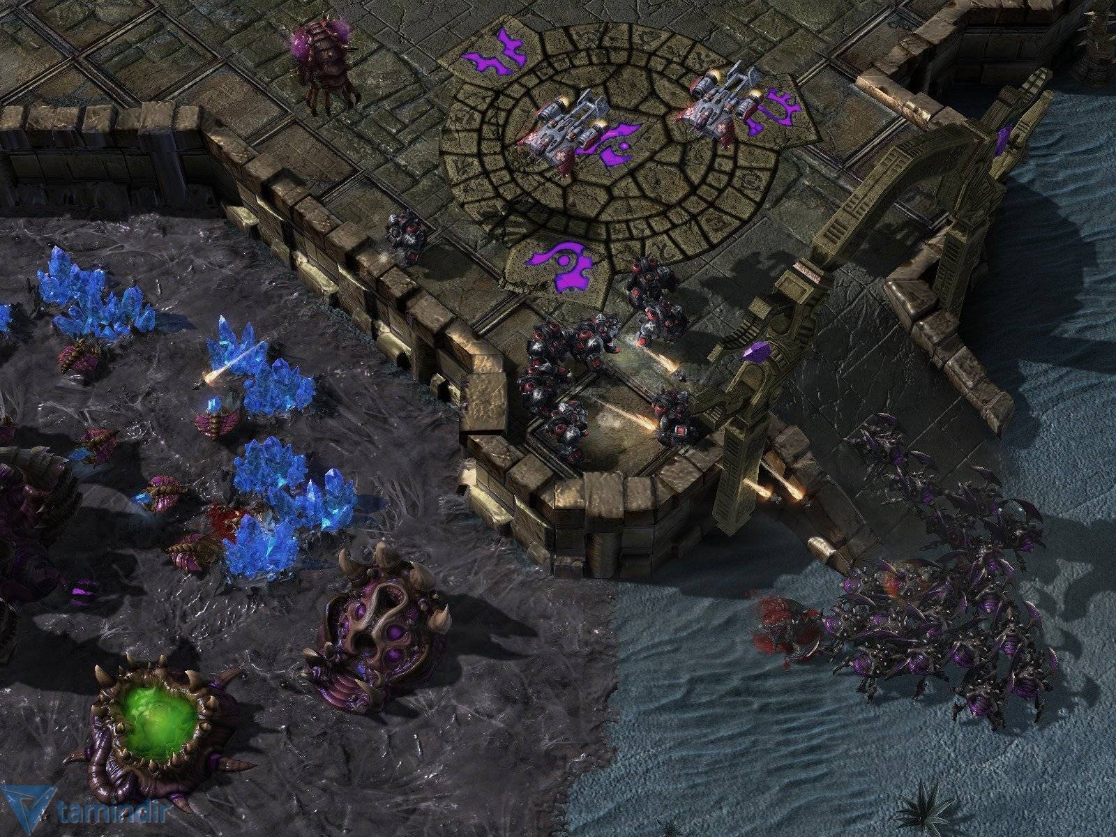 Download Starcraft 2: Heart of the Swarm