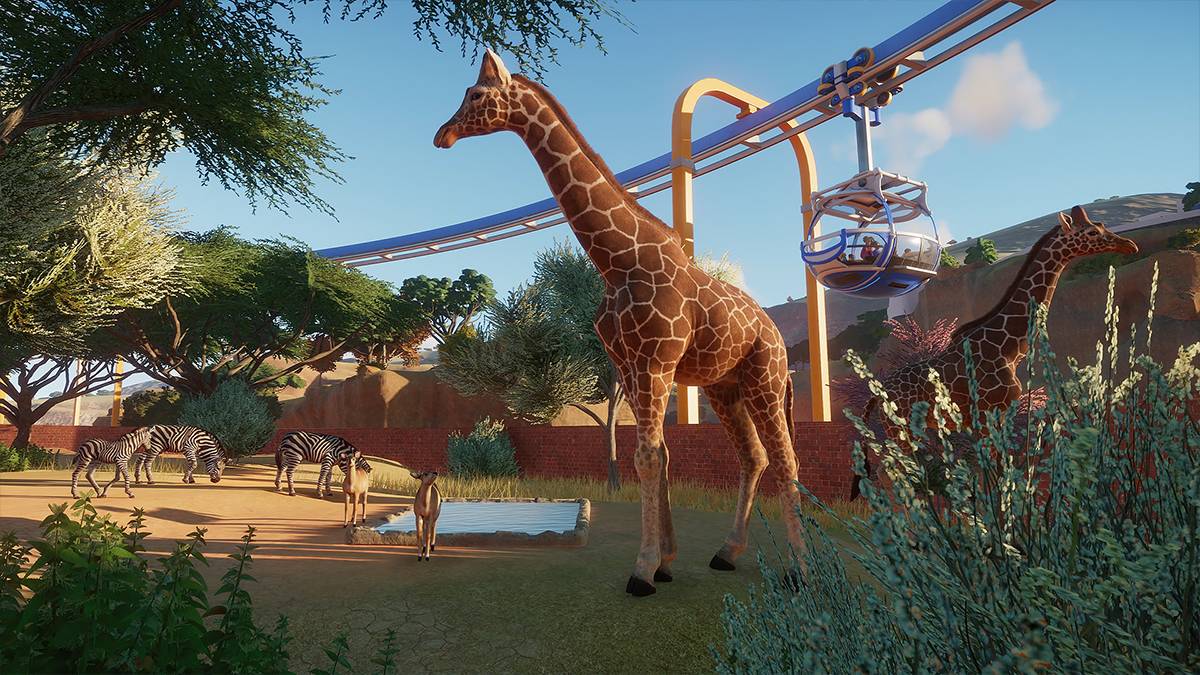 Download Planet Zoo